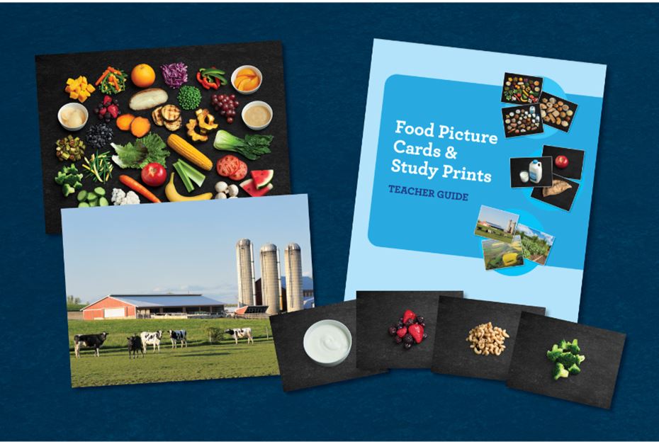 Food Picture Cards and Study Prints