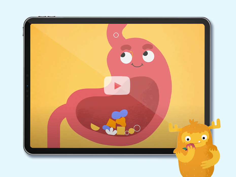 Vidéo éducative pour présenter le système digestif 